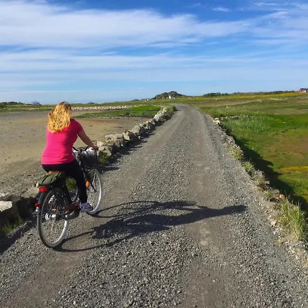 Orcas View Vestresand Lofoten Bostad